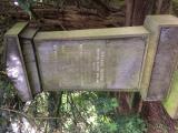image of grave number 787301